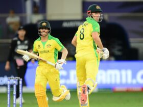 T20 World Cup: Aussie Cricketer's Comeback Despite Recovery Delays